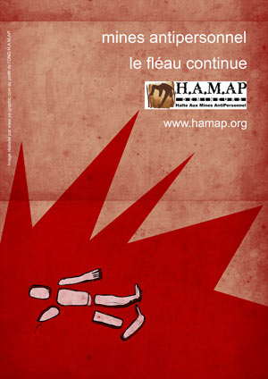 Affiche créée pour l'HAMAP