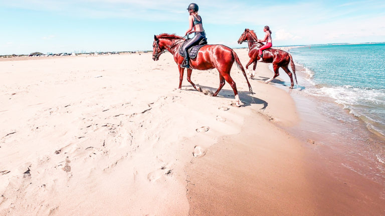 Chevaux à la plage